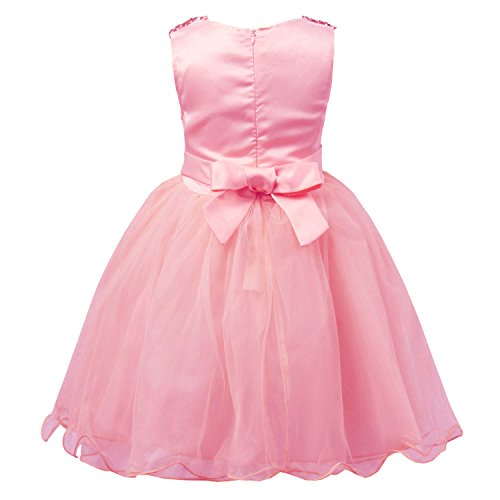 JerrisApparel niña Lentejuela Flor Princesa Vestido de Fiesta de cumpleaños de la Boda (6 años, Rosa Claro)