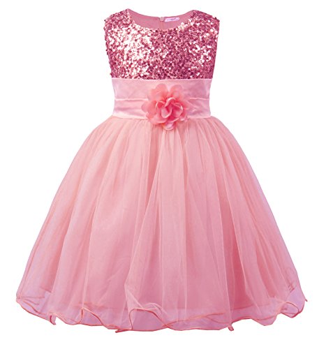 JerrisApparel niña Lentejuela Flor Princesa Vestido de Fiesta de cumpleaños de la Boda (6 años, Rosa Claro)