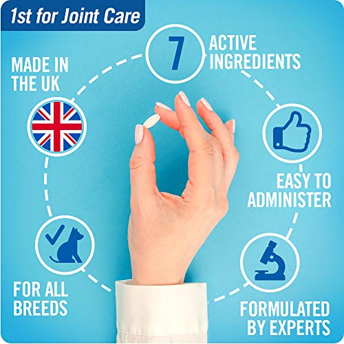 JOINTSURE condroprotector Perros| 120 Comprimidos | con mejillón de Labio Verde, glucosamina y condroitina Natural. | Este antiinflamatorio para Perros.