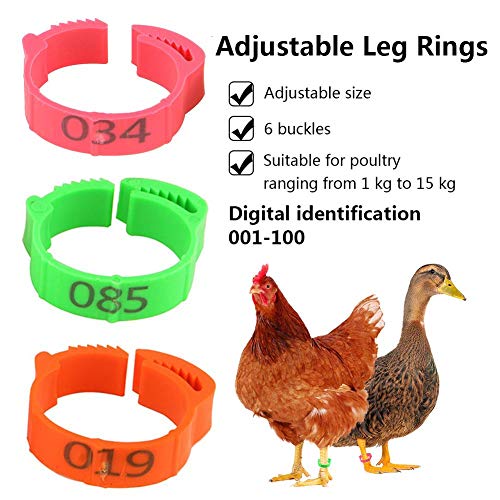 Juego de 100 anillas para aves de corral, pollitos y pájaros, para gallinas, patos, pollos, aves de corral, 001-100, marcas digitales, diámetro interior ajustable 2 – 2,4 cm (verde, naranja, rojo)