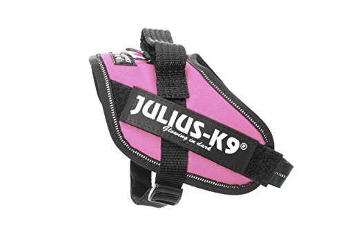 Julius-K9 16IDC - Power Harness