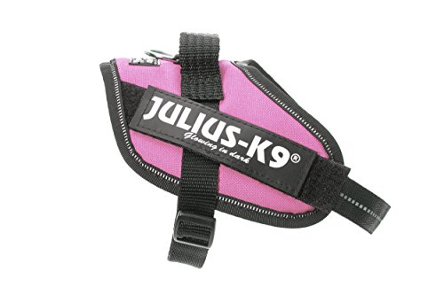 Julius-K9 16IDC - Power Harness