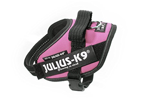 Julius-K9 16IDC - Power Harness