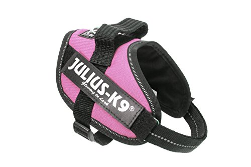 Julius-K9 16IDC - Power Harness