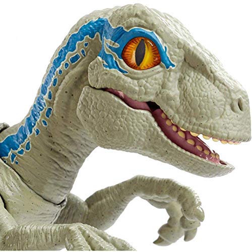 Jurassic World Baby Blue Dino Velociraptor, Dinosaurio de juguete (Mattel GFD40) , color/modelo surtido