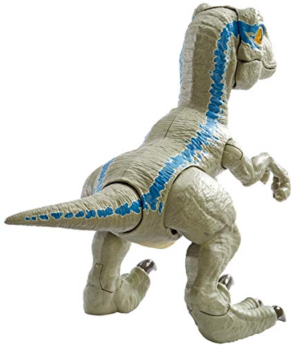 Jurassic World Baby Blue Dino Velociraptor, Dinosaurio de juguete (Mattel GFD40) , color/modelo surtido