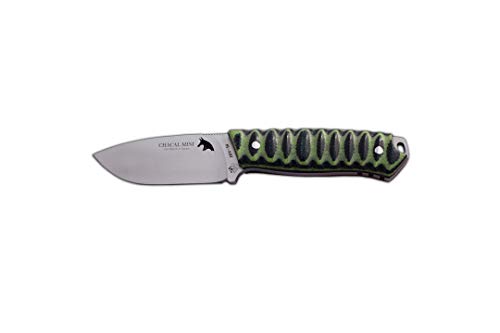 J&V Adventure Knives JV Cuchillo CHACAL Mini TRF Reptil para Caza, Pesca, Supervivencia y Bushcraft Realizado en Albacete + Portabotellas de regalo