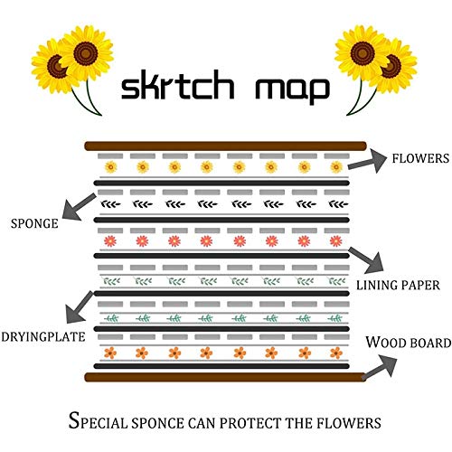 KAPAYONO Kit de Prensa de Flores, Prensa de Hojas, Prensa de Plantas, Juego de Prensa de Hojas para Muestras de Artesanía de Bricolaje y Tarjetas de Felicitación