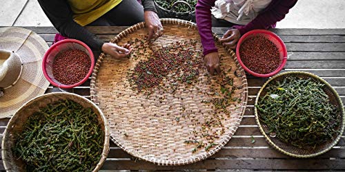 KHLA - Pimienta roja de Kampot Premium IGP - 120 g - Pimienta en Grano - Procedente de la Agricultura Ecológica