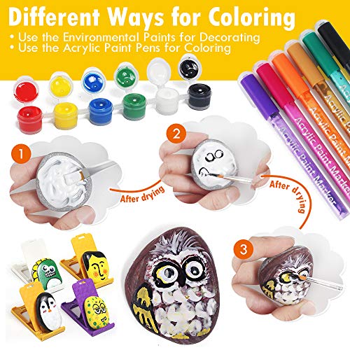 Kit de pintura de piedras para niños y adultos, Proveedores de arte rupestre, Kit de pintar sus propias piedras, Kit de pintura de piedras DIY, Regalo de ideas para niños Edad 4 5 6 7 8 9 10