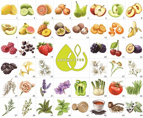 Kit Maestro Aromas del Vino - 88 Aromas (incl. Rueda de los Aromas del Vino)