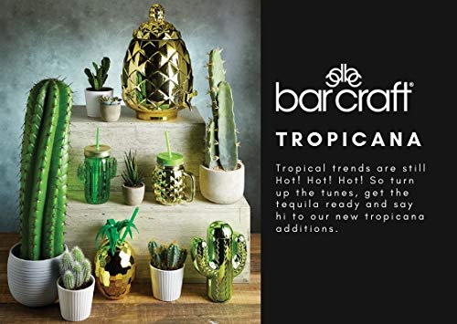 Kitchencraft Barcraft – Tropical Chic diseño de cristal tarros para beber con pajitas, 400 Ml-cactus diseño (Set de 4), verde, 6,5 x 10,5 x 20 cm