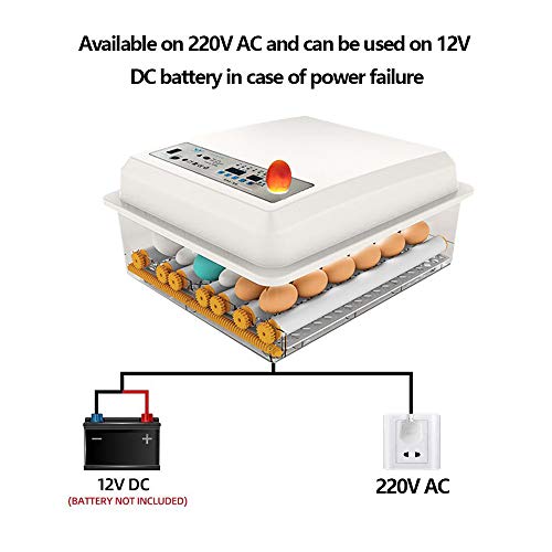 KKTECT Incubadora De Huevo Hatcher suministro De Huevo Incubadora Automática Capacidad Para 9-16 Huevos De Gallina,Digital Incubadora Aves De Corral, Pato, Codorniz, Reptil