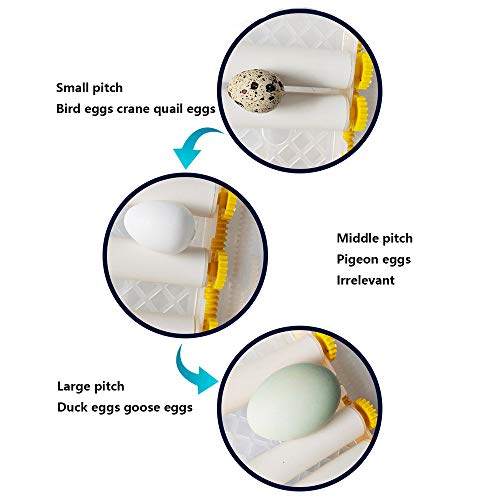 KKTECT Incubadora De Huevo Hatcher suministro De Huevo Incubadora Automática Capacidad Para 9-16 Huevos De Gallina,Digital Incubadora Aves De Corral, Pato, Codorniz, Reptil