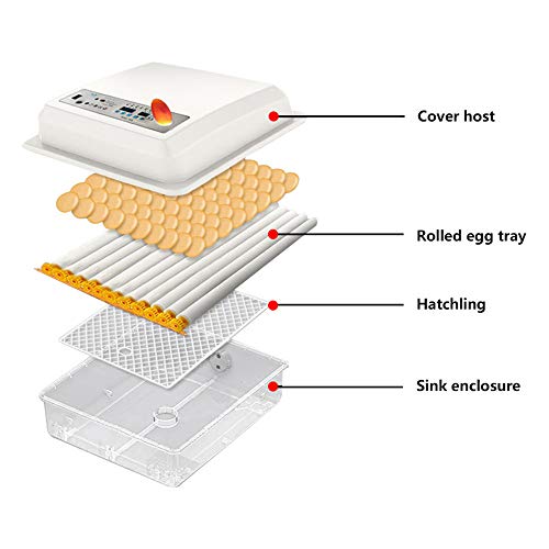 KKTECT Incubadora De Huevo Hatcher suministro De Huevo Incubadora Automática Capacidad Para 9-16 Huevos De Gallina,Digital Incubadora Aves De Corral, Pato, Codorniz, Reptil