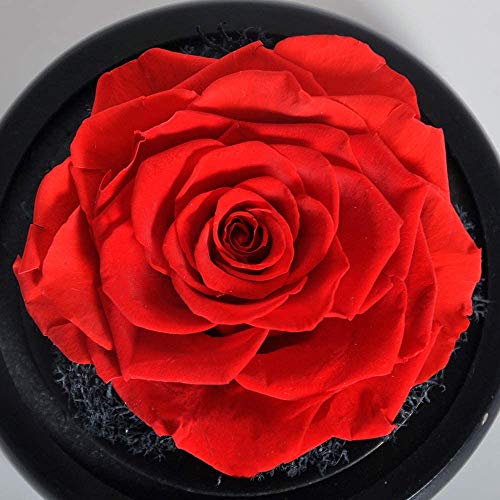 KNRAGHO Forever Flowers, Hecha a Mano para Siempre, Rosa preservada con Forma de corazón, Regalo romántico para Ella, día de San Valentín, día de la Madre, Navidad, Aniversario, cumpleaños