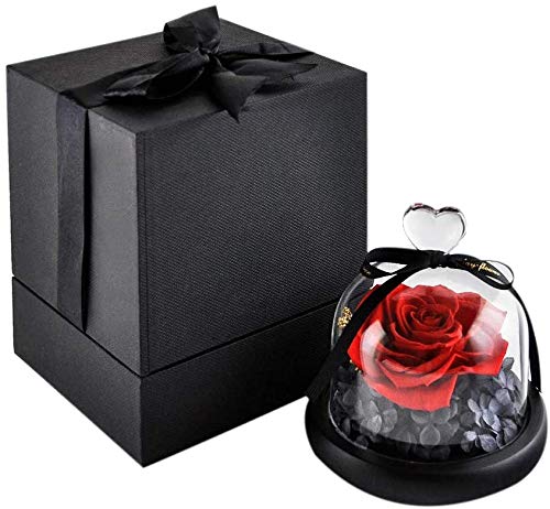 KNRAGHO Forever Flowers, Hecha a Mano para Siempre, Rosa preservada con Forma de corazón, Regalo romántico para Ella, día de San Valentín, día de la Madre, Navidad, Aniversario, cumpleaños