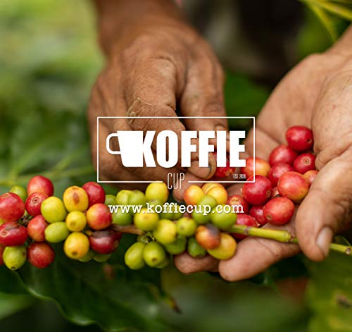 Koffie Cup- Intense Cápsulas compostables de café compatibles con máquinas Nespresso, Intense - 40 cápsulas (4x10cáps)