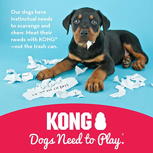 KONG - Puppy - Juguete de Caucho Natural para dentición (Colores Pueden Variar) - para Cachorros Grandes