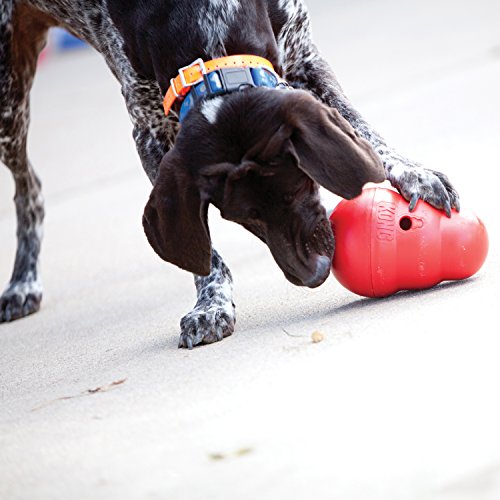 KONG - Wobbler - Dispensador de golosinas, Apto para lavavajillas - para Perros de Raza Pequeña