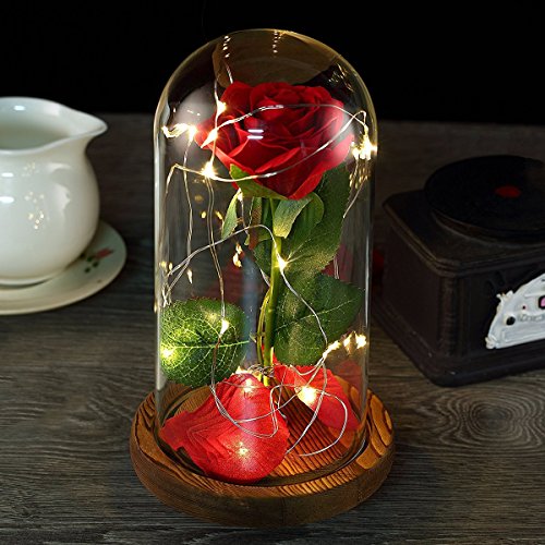 "La Bella y la Bestia" Rose Kit Rosa de Seda roja y luz LED con pétalos caídos en cúpula de Cristal Sobre una Base de Madera, Mejor Regalo para el día de San Valentín, Boda, Aniversario, cumpleaños