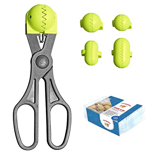 La Croquetera Pack- Utensilio Multiusos Color Pistacho - 4 moldes Intercambiables para masas + Pack 20 Bandejas conservación - 100% español : Patentado y Fabricado en España