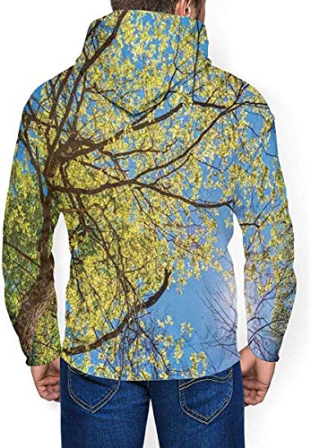 La Sudadera con Capucha de los Hombres Espesa la Sudadera esponjosa, el Campo de árboles y el Prado Verde Fresco con un día Abierto de Cielo Azul en la Naturaleza