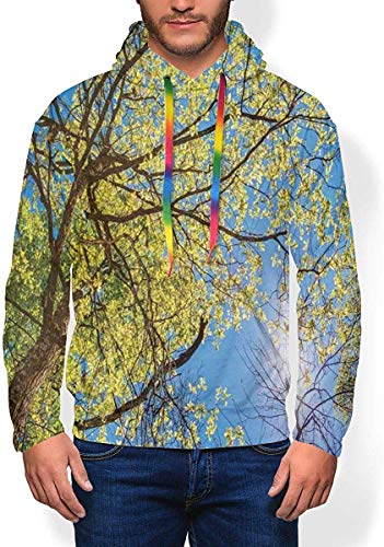 La Sudadera con Capucha de los Hombres Espesa la Sudadera esponjosa, el Campo de árboles y el Prado Verde Fresco con un día Abierto de Cielo Azul en la Naturaleza