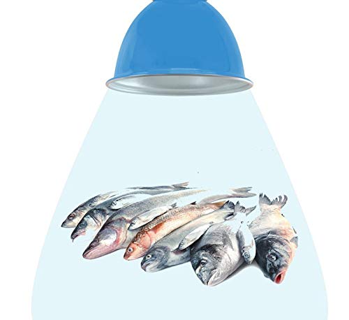 Lámpara Campana LED para Pescadería Marisquería 28W 220V-240V 50/60Hz Campana LED Seafood Shop 260HX240 mm