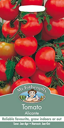 Las Semillas del Paquete: Sr. Tomate Fothergills Alicante Semilla