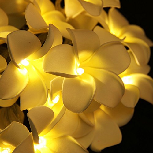 LEDMOMO Flor Guirnalda Luminosa Bateria Operado Cadena de Luces 20 LED Frangipani Plumeria Flor Decoración (Luz Blanca Cálida)