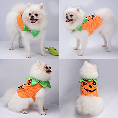 Legendog Disfraz de Halloween para Gato, Disfraz de Calabaza con Calabaza, Divertido Disfraz para Gato de Halloween con Calabaza