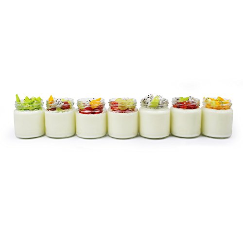 Leogreen - Yogurtera, Maquina para Hacer Yogur Casero, 7 tarros, con el contador de tiempo, 23 x 23 x 12 cm, Blanco, Capacidad por frasco: 0,21 L