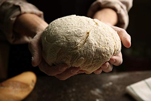 Levadura fresca biológica - Masa madre de harina de centeno Demeter - Levadura vegana - Contenido: 300 gramos