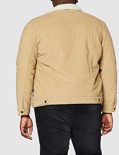 Levi's Type 3 Sherpa Trucker Chaqueta Vaquera, Beige (True Chino Cord Better 0066), X-Small para Hombre