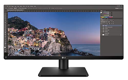 LG 29UB67-B - Monitor Profesional UltraWide WFHD de 73.7 cm (29") con Panel IPS (2560 x 1080 píxeles, 21:9, 300 cd/m², sRGB >99%, 1000:1, 5 ms GtG, 75 Hz, DPx1, HDMIx2, DVI x1, USBx4) Color Negro