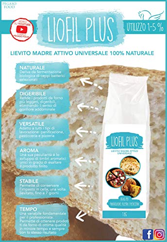 LIOFIL PLUS, levadura madre activa para panificación y pastelería. Producto 100% artesanal. 1 kg (Confezione da 1)