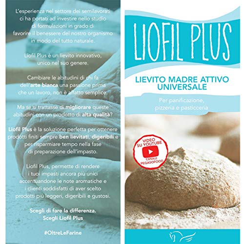 LIOFIL PLUS, levadura madre activa para panificación y pastelería. Producto 100% artesanal. 1 kg (Confezione da 1)