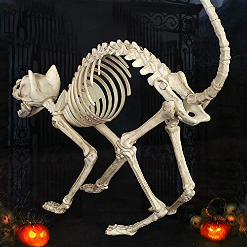 LKXHarleya Halloween Animal Esqueleto DecoracióN Horror Animal CráNeo Apoyos Halloween BúHo Pez Rana Gato Esqueleto DecoracióN De Halloween, Gato