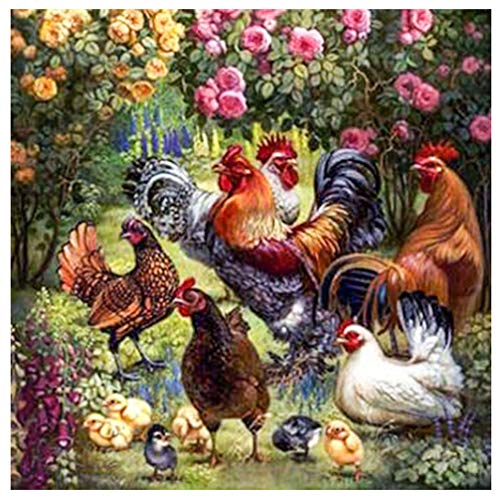 LoveMyHome 5d diy Diamond bordado pintura Kit/Rhinestone Pasted pintura/de punto de cruz – con Full cuadrado diamante y hacer herramienta – animales – Gallo Gallina y polluelos, 50 x 50 cm