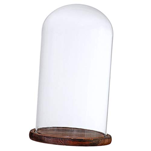 LOVIVER Cúpula de Vidrio Transparente con Base de Madera Cristal Cloche Adorno Varios Tipos Disponibles - Marrón G