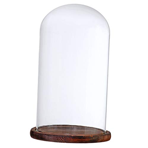 LOVIVER Cúpula de Vidrio Transparente con Base de Madera Cristal Cloche Adorno Varios Tipos Disponibles - Marrón G