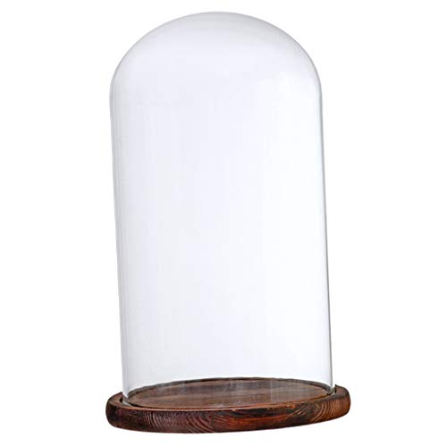 LOVIVER Cúpula de Vidrio Transparente con Base de Madera Cristal Cloche Adorno Varios Tipos Disponibles - Marrón G