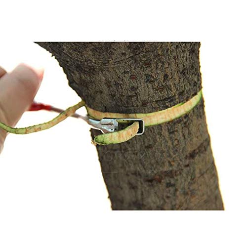 LXFMZ Herramienta de Corte para el injerto y Corte, Jardín Agrícola Herramientas de Acero Inoxidable Anillos de Corteza Profesionales (8pcs * 2)