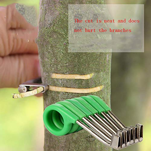 LXFMZ Herramienta de Corte para el injerto y Corte, Jardín Agrícola Herramientas de Acero Inoxidable Anillos de Corteza Profesionales (8pcs * 2)