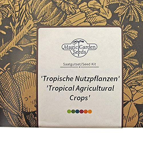 Magic Garden Seeds Cultivos Tropicales: Café, plátano, maracuyá, arroz y té - Semillas-Set de Regalo con 5 Plantas exóticas mundialmente Famosas