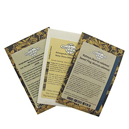 Magic Garden Seeds Hierbas medicinales ayurvédicas - Kit Regalo de Semillas