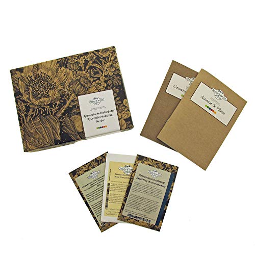 Magic Garden Seeds Hierbas medicinales ayurvédicas - Kit Regalo de Semillas