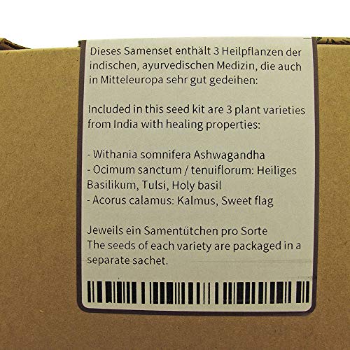 Magic Garden Seeds Hierbas medicinales ayurvédicas - Kit Regalo de Semillas