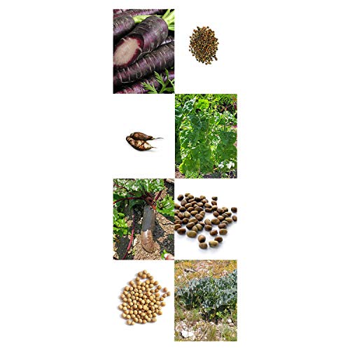 Magic Garden Seeds Hortalizas históricas - Kit de Semillas Regalo con 8 Verduras Menos conocidas